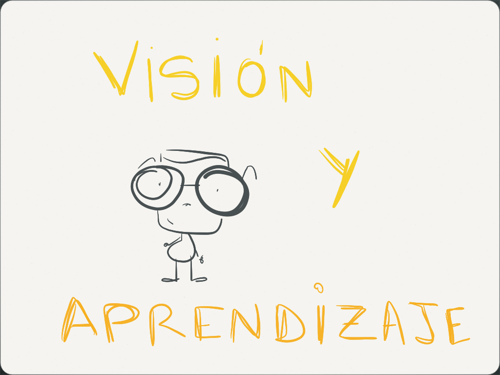 Implicaciones de la visión en el aprendizaje